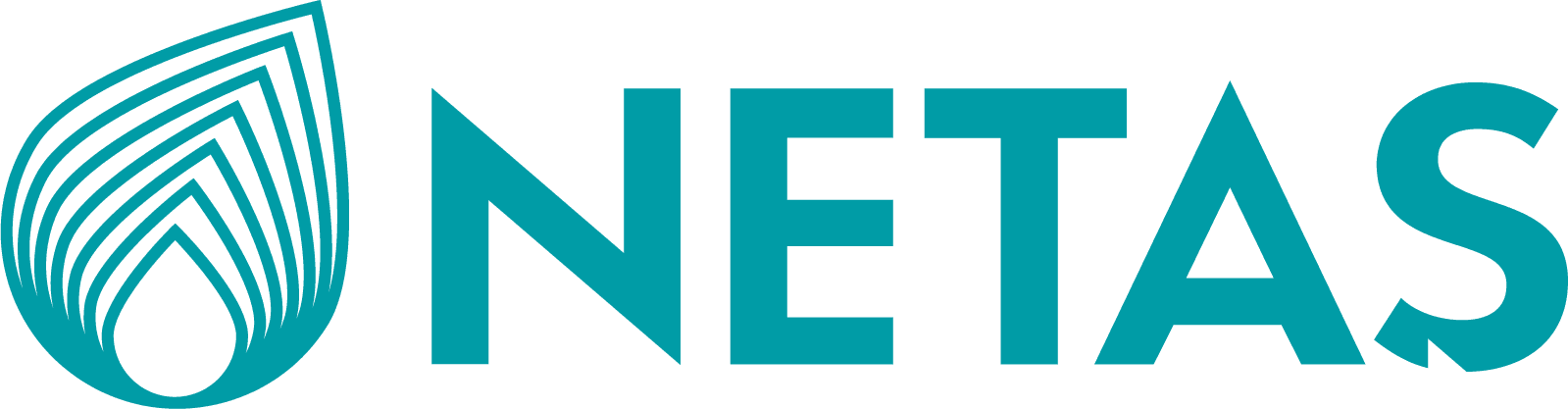 NETAS